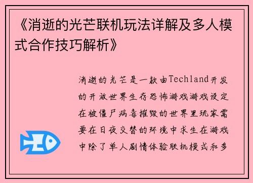 《消逝的光芒联机玩法详解及多人模式合作技巧解析》